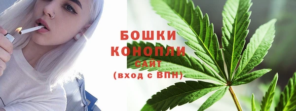 шишки Балахна