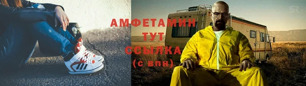 шишки Балахна