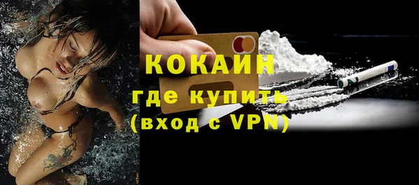 шишки Балахна