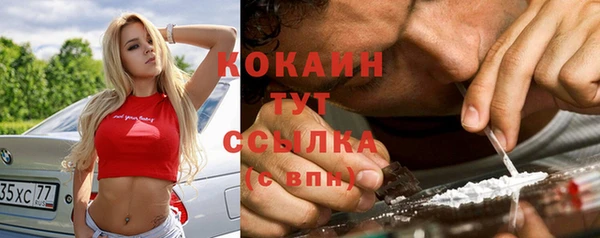 шишки Балахна